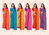 Savera Vol 12 By Ruchi Chiffon Saree Attached With Border Wholesale Clothing Suppliers In India